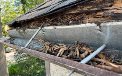 Expert Gutter Repair Services Near Me: Your Complete Guide to Local Solutions…