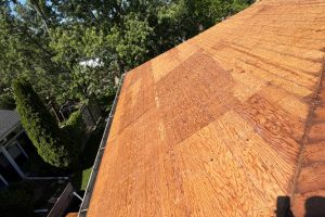 item_79a57873-82b5-41d4-809e-587f1856b907 - Integrity 1st Roofing A steep roof with orange plywood sheathing installed, viewed from above, with trees and a backyard fence in the background.