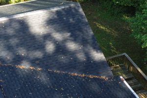 8655f08e-6766-42e6-9da7-020757129bc6-item_e1bfe145-7b58-456e-9e9b-4ffc970fb018 - Integrity 1st Roofing Slanted roof with dark shingles and a long line of debris along a seam; shadows from trees overhead and surrounding greenery visible nearby.